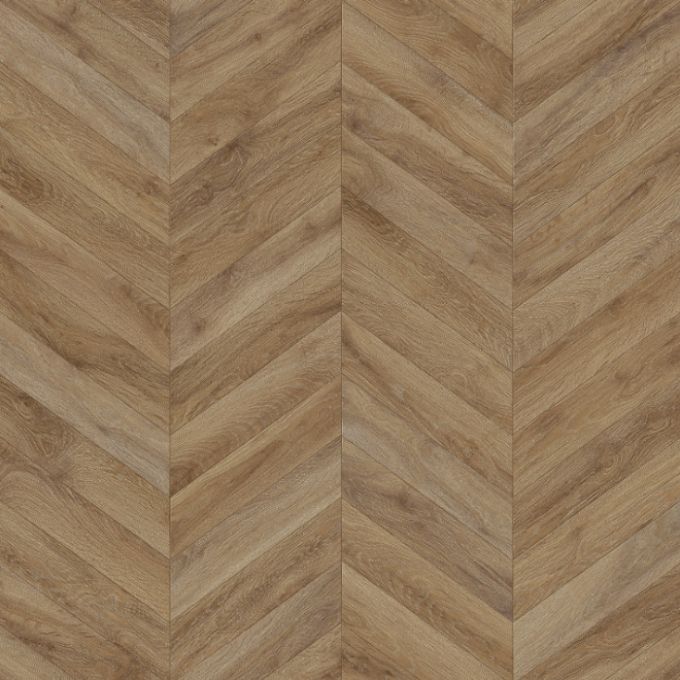 Лінолеум Tarkett Evolution Live Chevron 5