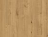 Ламинат Xpert Pro Ultimate Hydro Boston Oak / Бостонский дуб 00517