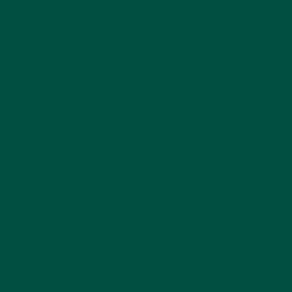 Спортивное ПВХ покрытие Omnisports V35 FOREST GREEN